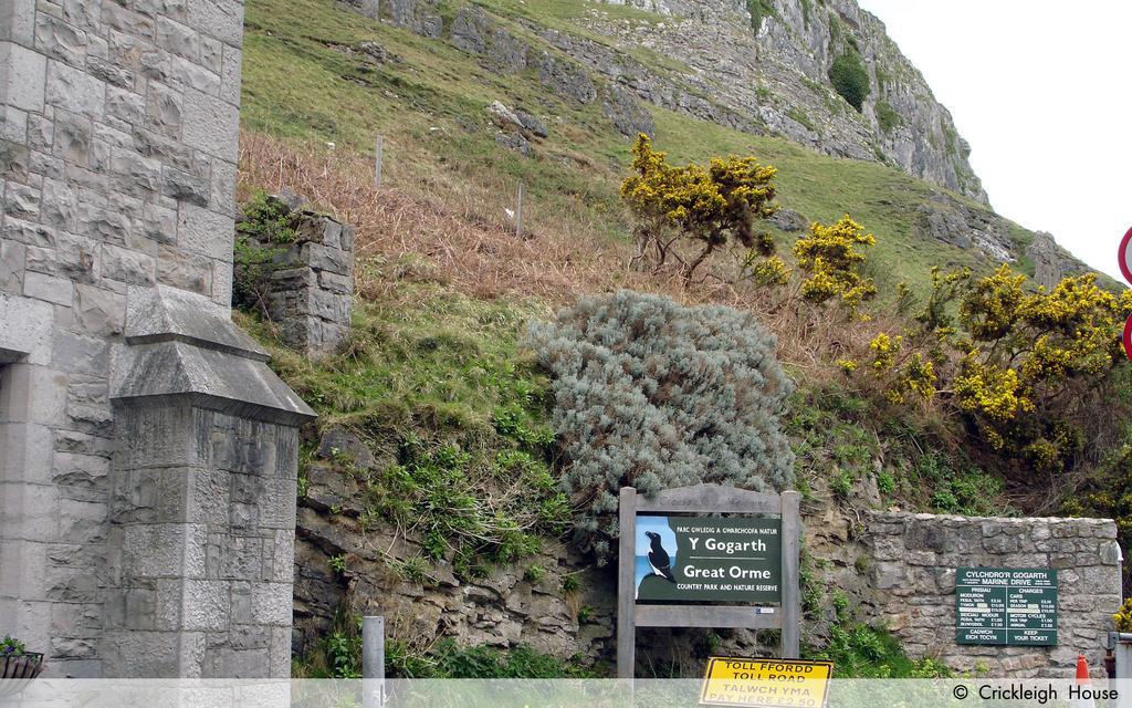 Bed and Breakfast Crickleigh House Llandudno Esterno foto